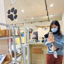 도그노리터 | 용인애견유치원 :: 도그노리터 방문후기🐶 ♡ 🐩