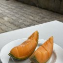 나도 오늘부터 체스왕 | 우당탕탕 스위스 신혼여행 6일차 (베른 장미공원, 곰공원, 베른 대성당,아인슈타인하우스)