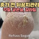 레푸스강남세곡점