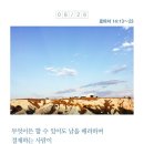 디딤돌 Daum카페