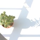 매일라이프 - 강동구 천중로 195-16 | 매일라이프