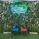 남포엔부산 이미지