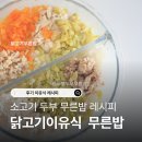 고기레시피 | 후기이유식 닭고기이유식 소고기 이유식 레시피 총정리