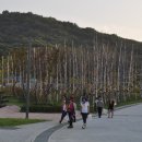 강화군고인돌체육관 이미지