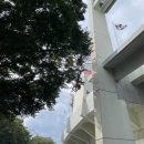 우천 | 서울 잠실야구장 우천취소 후기