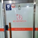 엘린바른자세연구소