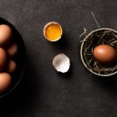 단일농장 이미지