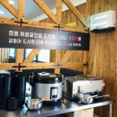 용이반점 이미지