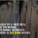 코햄체 이미지