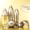 진보네추럴 이미지