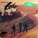 Me And You And A Dog Named Boo / Lobo 이미지