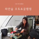 맑은물소리캠핑장 | 포천 계곡 캠핑장 하얀숲 오토&amp;글램핑 B22 사이트 레이 차박 솔직 후기