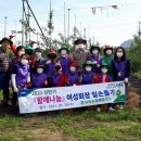 김광수 농장 이미지