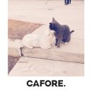 겔러리 카페 이미지