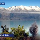 퀸스타운의원 이미지