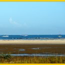 바오밥나무 이미지