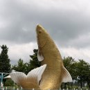 계양 아라온 포시즌 가든 백합 출사 후기