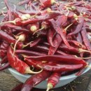 이가네농장 이미지