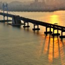 트럼프월드마린 이미지