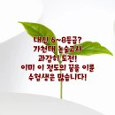노원-현장-1311 | 내신 7등급 8등급 가천대 논술 합격, 마음만 먹으면 된다
