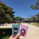 99 | [서울 종로] 창덕궁 후기｜입장료 3,000원, 경복궁과 다른 조용한 고궁 산책
