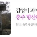 세성초 향산분교 이미지