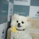 제마동물병원 이미지