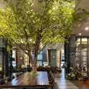 베니어 | 시흥 대형카페 추천 | 베니어 베이커리카페 | 내돈내산 솔직 후기 (주차,위치 사진 위주)