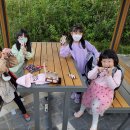 걸포초병설유치원 이미지