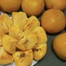 부유마트 이미지