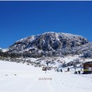 한라산 선작지왓 이미지