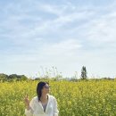 GS25전주덕진점 | 전주 근교 나들이, 김제 유채꽃부터 덕진공원 피크닉까지