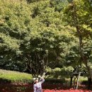 불갑사관광지 안내소 이미지