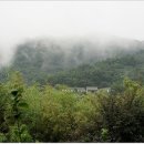 죽림원 이미지