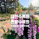 GS25대전한밭점 | 대전 한밭수목원 주차와 입장료 무료 정보 및 2026 봄꽃전시회 5월 방문 후기