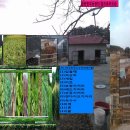 금란농장 이미지