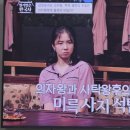 백제 무왕과 선화공주 이미지