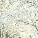 꽃달술 엑스포츠뉴스