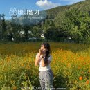 도곡2-217 | #25.08.-2 바다일기 | 늦여름 막바지 물놀이 휴가 | 광복절 연휴에 캐리비안 베이는 가지 않기로 해~