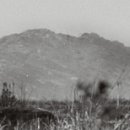 돌아가고싶은고향의산 이미지