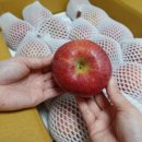 사광농장 이미지