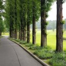 (주)자유건설 이미지