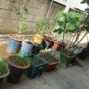 이필연치과의원 이미지