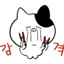 이공비빔국수;왕돈가스