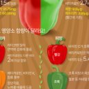 피망 이미지