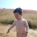 천일농장 | 📆 1000일 ~ 1100일 아기 브이로그 기록