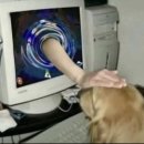 빵먹고싶다 이미지