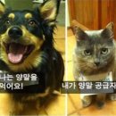 덩어리 - 남동구 구월말로 79-3 | 덩어리