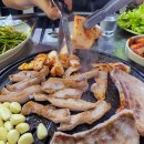 고산생고기