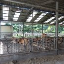 군산 한우농장 | 군산 짬뽕 맛집 갔다 한우 맛집 찾은 군산 지곡동